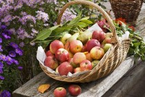 19 серпня – свято стиглих яблук